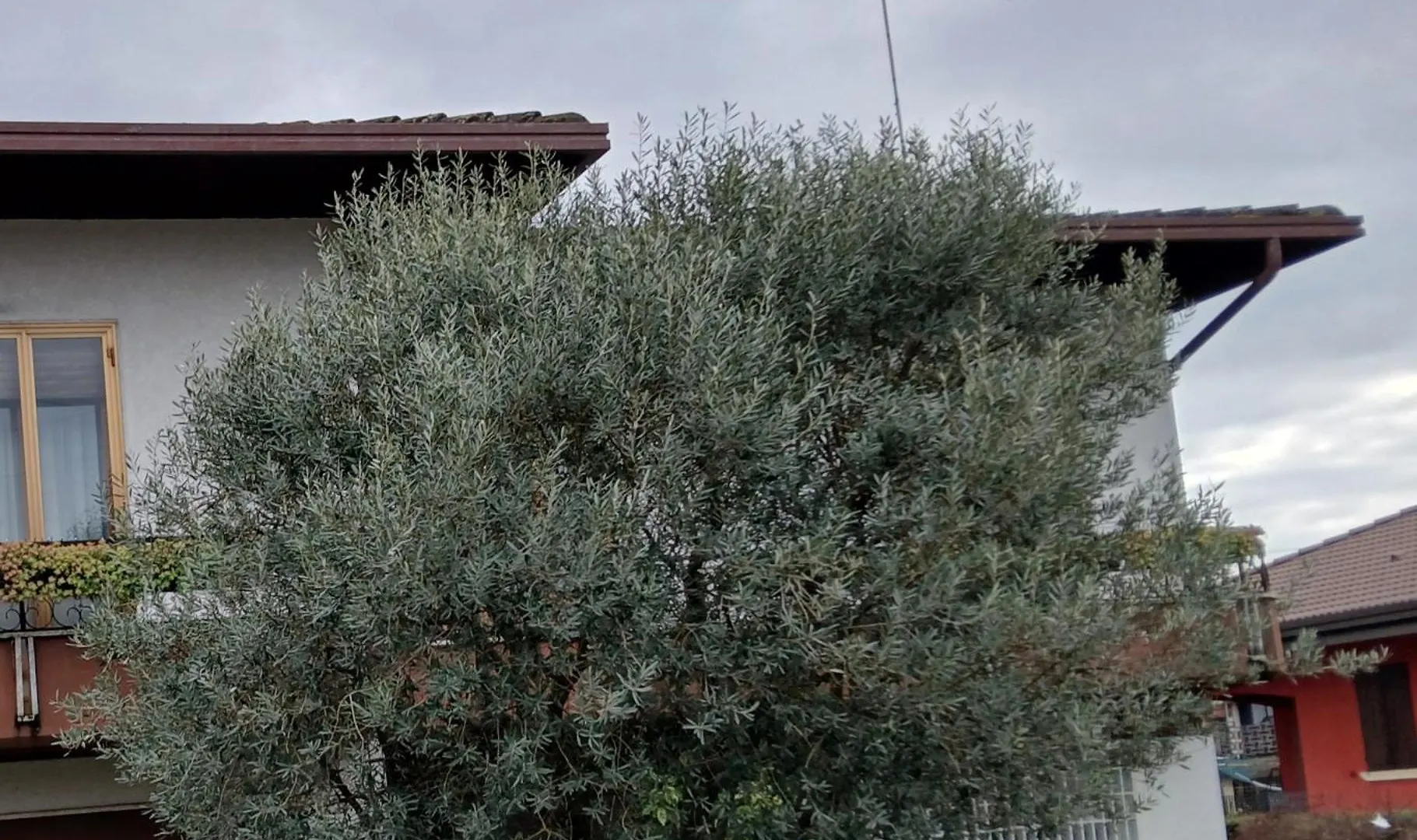 Caldogno B&B Ponte Marchese 0*,